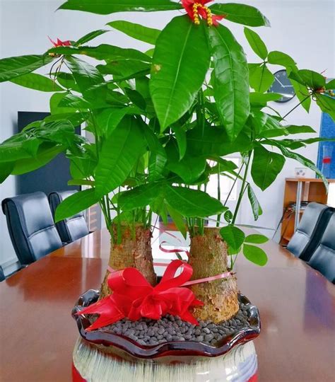 农村住宅风水顺口溜_农村住宅风水学入门知识,第9张 农村住宅风水顺口溜_农村住宅风水学入门知识,第9张