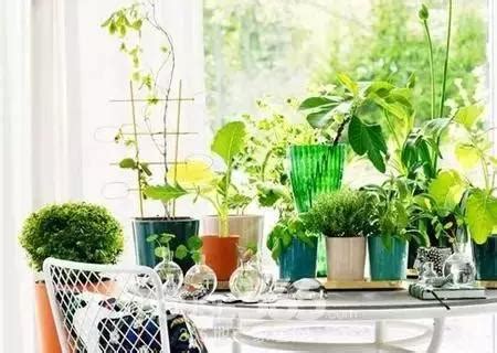 家居风水知识大全_家居风水10大禁忌及解决方法,第15张 家居风水知识大全_家居风水10大禁忌及解决方法,第15张