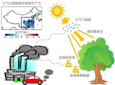 葫芦的寓意和象征_葫芦的寓意和象征风水摆放,第26张