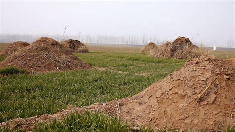 农村坟地风水注意禁忌_农村坟地风水怎么看旺后人,第11张