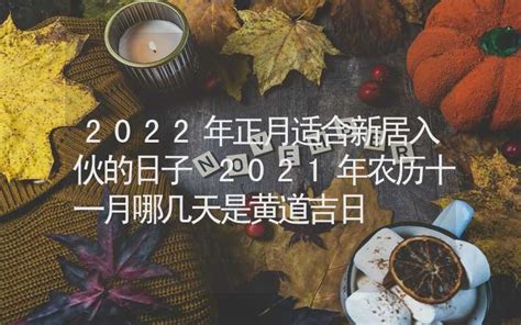 农历11月黄道吉日查询2022_2022年农历十一月最吉利的日子,第4张