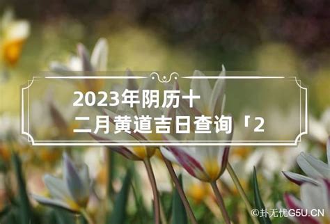 农历十二月黄道吉日查询2023_2023年农历十二月黄道吉日查询,第2张