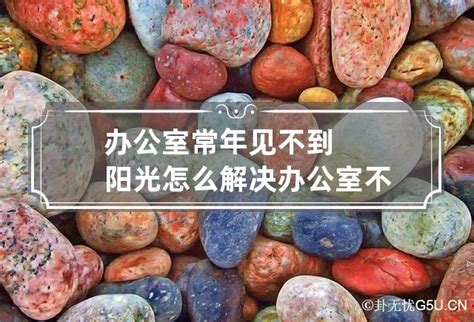 办公室没有阳光风水如何化解_办公室长年不见阳光怎么化解,第12张