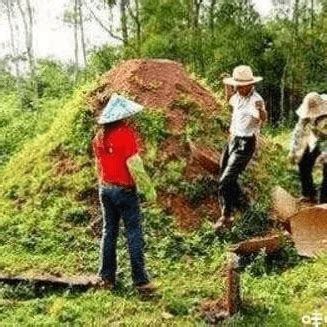 姑爷上坟对谁不好_姑爷上坟有什么讲究,第2张