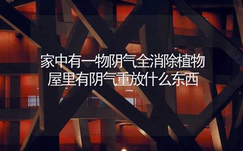 家中有一物阴气全消除_家中有一物阴气全消除阴气重怎么办,第7张