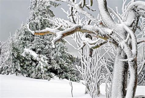 春天下雪什么兆头_春天下雪什么兆头风水,第2张