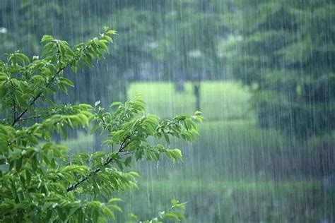 梅雨季节是几月份到几月份结束_梅雨季节是几月份到几月份结束2022,第8张