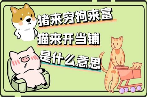 狗来富猫来穷是真的吗_狗来富猪来穷,野猫进家必戴孝,第10张