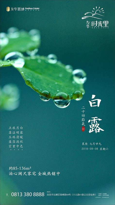 白露_白露节气的含义是什么,第10张