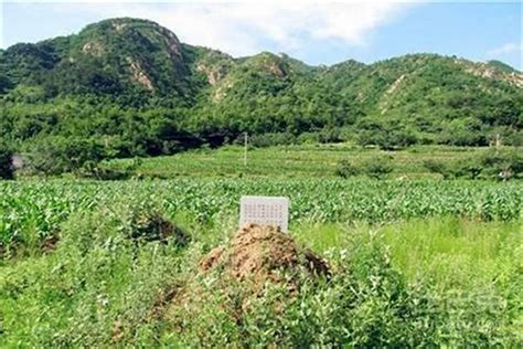 祖坟风水不好有哪些征兆_祖坟风水有问题的七大征兆,第32张