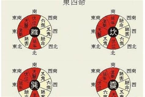 东四命适合住什么朝向的房子_西四命适合住什么朝向的房子,第7张