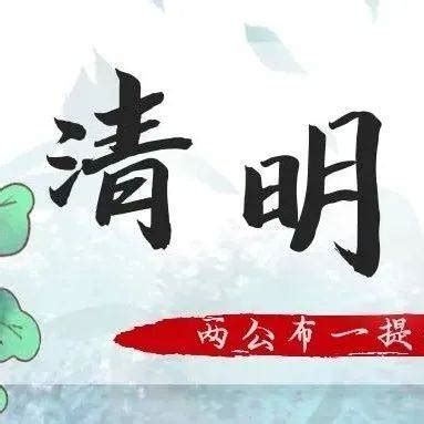 清明节送什么花去墓地_清明节送什么花去墓地放多少朵,第17张