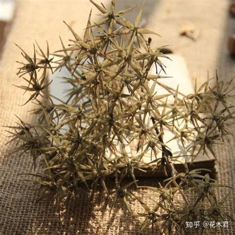 办公室摆件前十名_办公室摆件禁忌,第6张 办公室摆件前十名_办公室摆件禁忌,第6张