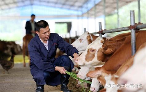 养鹅最忌讳的2个东西_养鹅最忌讳的是什么,第4张 养鹅最忌讳的2个东西_养鹅最忌讳的是什么,第4张