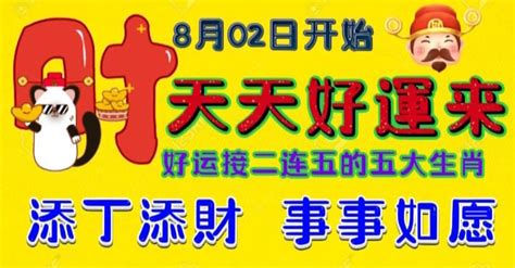 燕子在家里搭窝预示着什么意思_燕子在家里搭窝预示着好还是坏,第7张