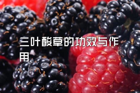 玉和人有缘的征兆_玉和人有缘是什么意思,第10张 玉和人有缘的征兆_玉和人有缘是什么意思,第10张