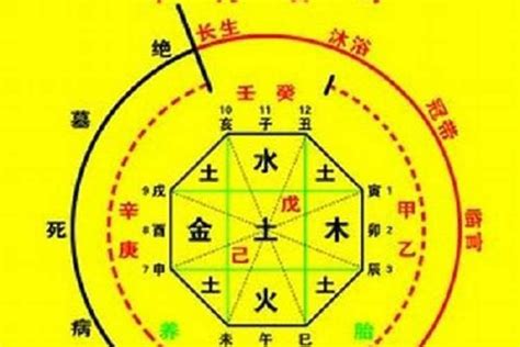 车牌号码怎么选吉利_车牌号码怎么选吉利数字,第11张