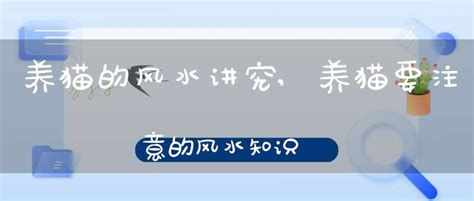 自从养了猫运气就一直不好为什么_自从养了猫运气特别差,第3张