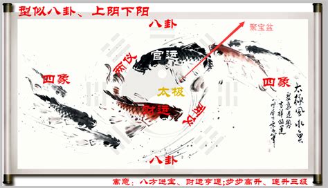 养鱼养几条好生意人_养鱼养几条好单数还是双数,第3张 养鱼养几条好生意人_养鱼养几条好单数还是双数,第3张