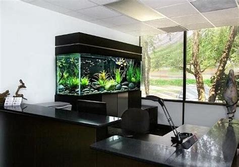 办公室养鱼风水禁忌_办公室养鱼风水知识,第2张 办公室养鱼风水禁忌_办公室养鱼风水知识,第2张