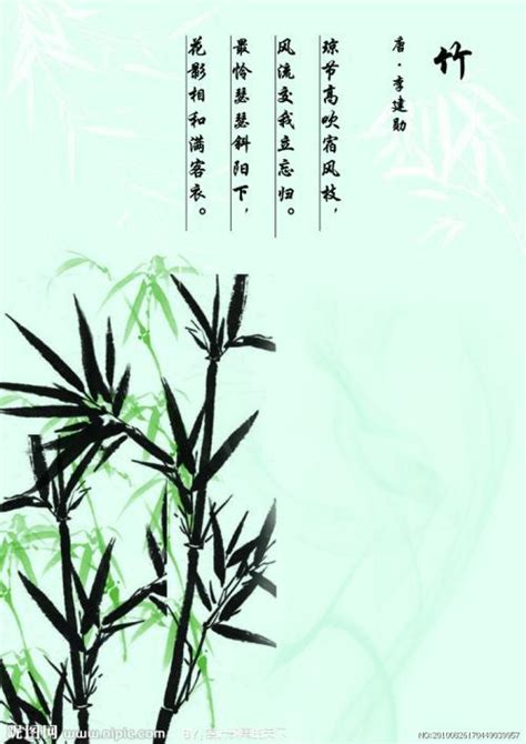 十种阴气重的植物_十种阴气重的植物图片,第12张