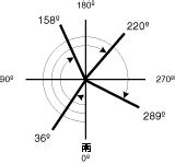 庭院十大吉祥之树_庭院十大吉祥之树和种植方位,第18张 庭院十大吉祥之树_庭院十大吉祥之树和种植方位,第18张