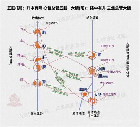 祖坟上长树对后代有什么影响_坟上长树有什么说法吗,第7张 祖坟上长树对后代有什么影响_坟上长树有什么说法吗,第7张