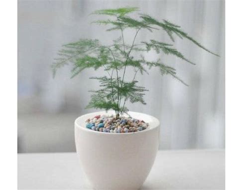 房子风水好有哪些吉兆_房子风水好有哪些预兆,第3张 房子风水好有哪些吉兆_房子风水好有哪些预兆,第3张