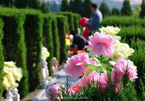 做梦被吓醒有什么征兆_做梦被吓醒是什么意思,第7张 做梦被吓醒有什么征兆_做梦被吓醒是什么意思,第7张