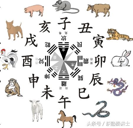 现代住房风水_现代住房风水学,第12张 现代住房风水_现代住房风水学,第12张