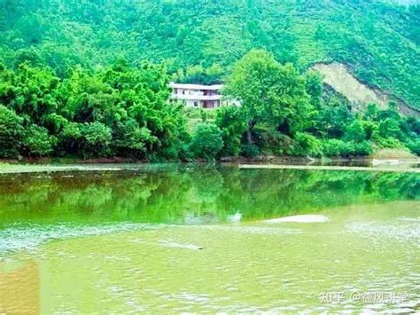 中国风水大师第一人_中国风水大师排行榜,第4张 中国风水大师第一人_中国风水大师排行榜,第4张