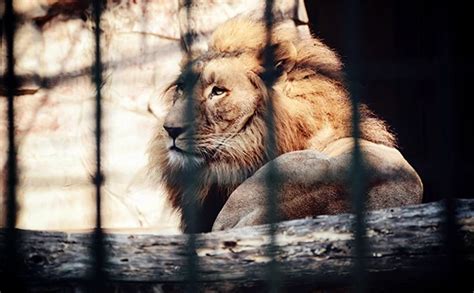 室内设计风水布局_室内设计风水学(设计师)必备,第22张 室内设计风水布局_室内设计风水学(设计师)必备,第22张
