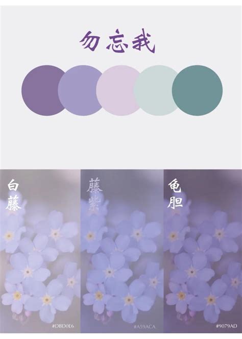 卧室颜色风水学_卧室颜色风水十大禁忌,第24张 卧室颜色风水学_卧室颜色风水十大禁忌,第24张