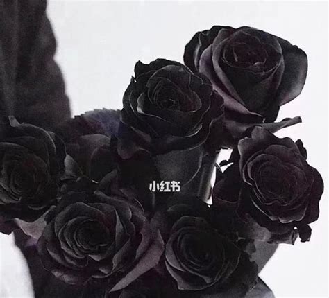 卧室颜色风水学_卧室颜色风水十大禁忌,第26张 卧室颜色风水学_卧室颜色风水十大禁忌,第26张