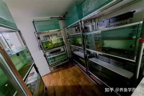 家里鱼缸风水摆放禁忌与最佳位置_鱼缸放在家里哪个位置风水最好,第16张