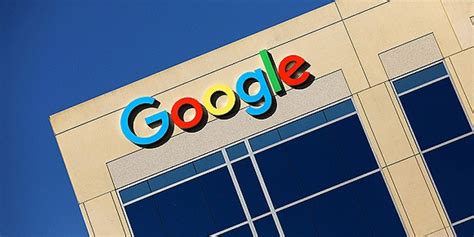 客厅最旺宅的大型植物发财树_客厅最旺宅的大型植物虎皮兰,第13张 客厅最旺宅的大型植物发财树_客厅最旺宅的大型植物虎皮兰,第13张