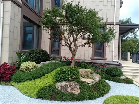 院子里种什么树风水好又旺财_北方农村院子里种什么树风水好又旺财,第14张 院子里种什么树风水好又旺财_北方农村院子里种什么树风水好又旺财,第14张