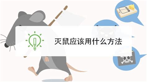 老鼠进家的风水说法_家里进老鼠是什么兆头风水,第2张 老鼠进家的风水说法_家里进老鼠是什么兆头风水,第2张