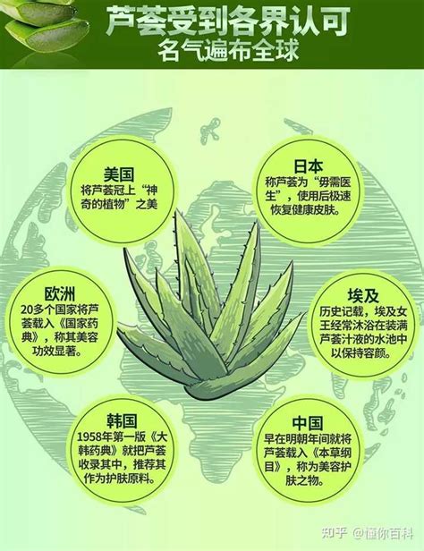 芦荟开花预示着什么好兆头_芦荟开花可能放卧室,第12张