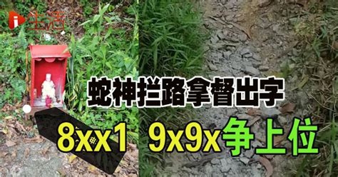 上山看见蛇的人运气好不好_看见蛇运气好吗,第5张