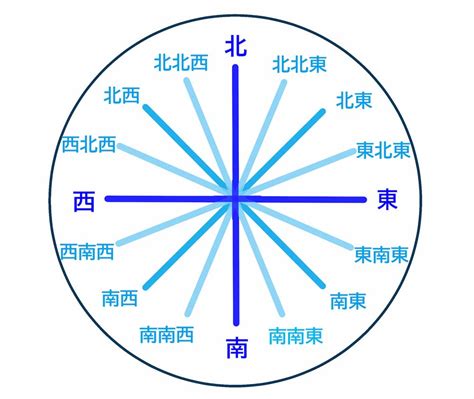 庭院十大吉祥之树_庭院十大吉祥之树和种植方位,第21张