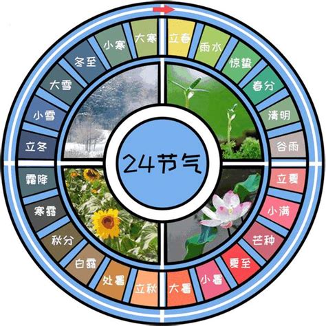 庭院十大吉祥之树_庭院十大吉祥之树和种植方位,第15张 庭院十大吉祥之树_庭院十大吉祥之树和种植方位,第15张