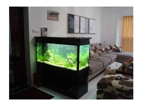 金鱼缸的摆放风水位置_门口放鱼缸风水好不好,第4张 金鱼缸的摆放风水位置_门口放鱼缸风水好不好,第4张