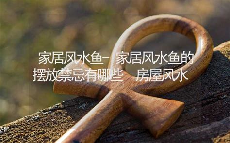 风水鱼有哪些_风水鱼的讲究,第16张