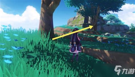 发财树放在客厅哪个位置招财_发财树摆放在客厅什么位置最旺财,第13张 发财树放在客厅哪个位置招财_发财树摆放在客厅什么位置最旺财,第13张