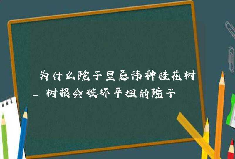 为什么院子里忌讳种桂花树_树根会破坏平坦的院子,第1张