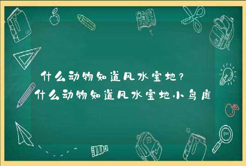 什么动物知道风水宝地?_什么动物知道风水宝地小鸟庭院树上筑巢,第1张