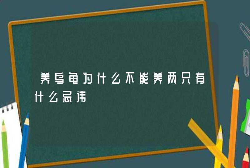 养乌龟为什么不能养两只有什么忌讳,第1张