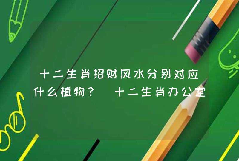 十二生肖招财风水分别对应什么植物？_十二生肖办公室办公桌的风水,第1张