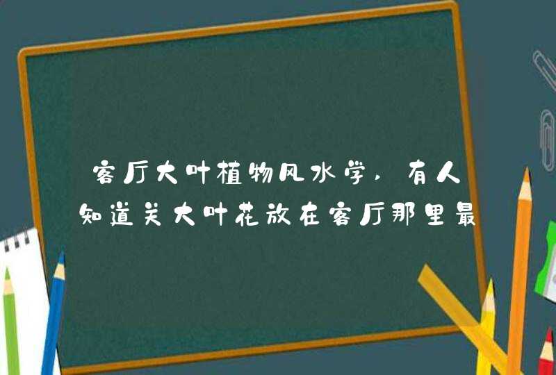 客厅大叶植物风水学,有人知道关大叶花放在客厅那里最好?,第1张